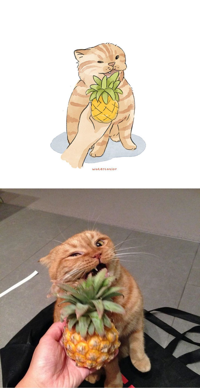 Digital-Watercolor-Cat-Paintings-Watercatlor