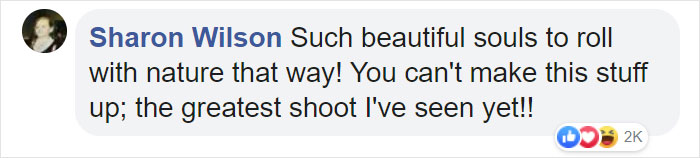 Wedding Photo Shoot Gets Interrupted By A Deer, Results In 15 Funny And Adorable Pictures