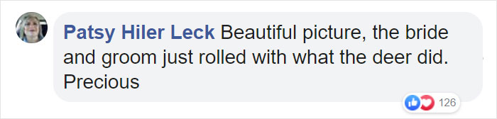 Wedding Photo Shoot Gets Interrupted By A Deer, Results In 15 Funny And Adorable Pictures