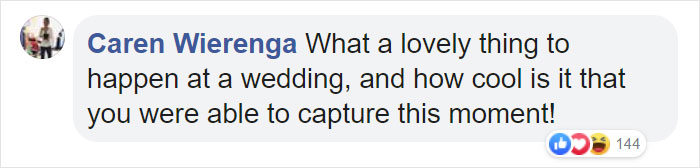 Wedding Photo Shoot Gets Interrupted By A Deer, Results In 15 Funny And Adorable Pictures Wedding Photo Shoot Gets Interrupted By A Deer, Results In 15 Funny And Adorable Pictures