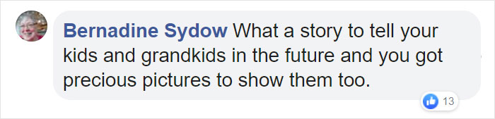 Wedding Photo Shoot Gets Interrupted By A Deer, Results In 15 Funny And Adorable Pictures