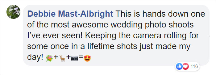 Wedding Photo Shoot Gets Interrupted By A Deer, Results In 15 Funny And Adorable Pictures Wedding Photo Shoot Gets Interrupted By A Deer, Results In 15 Funny And Adorable Pictures