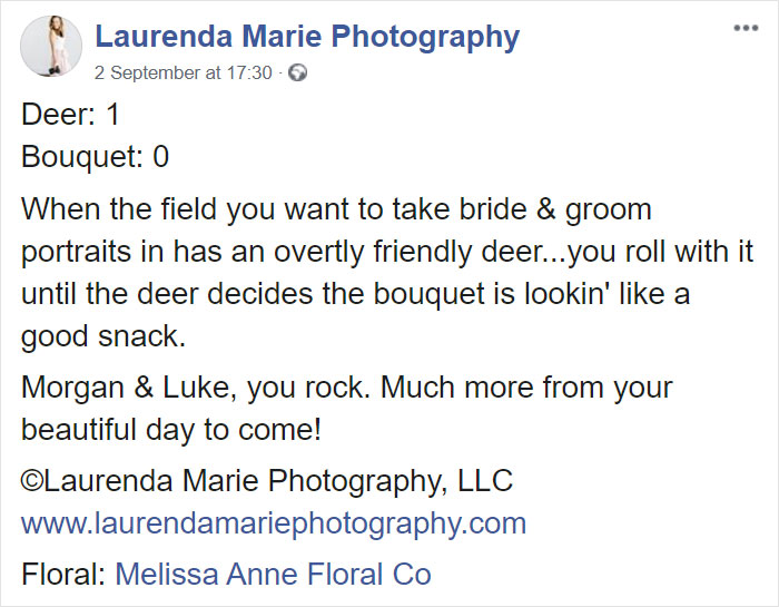 Wedding Photo Shoot Gets Interrupted By A Deer, Results In 15 Funny And Adorable Pictures