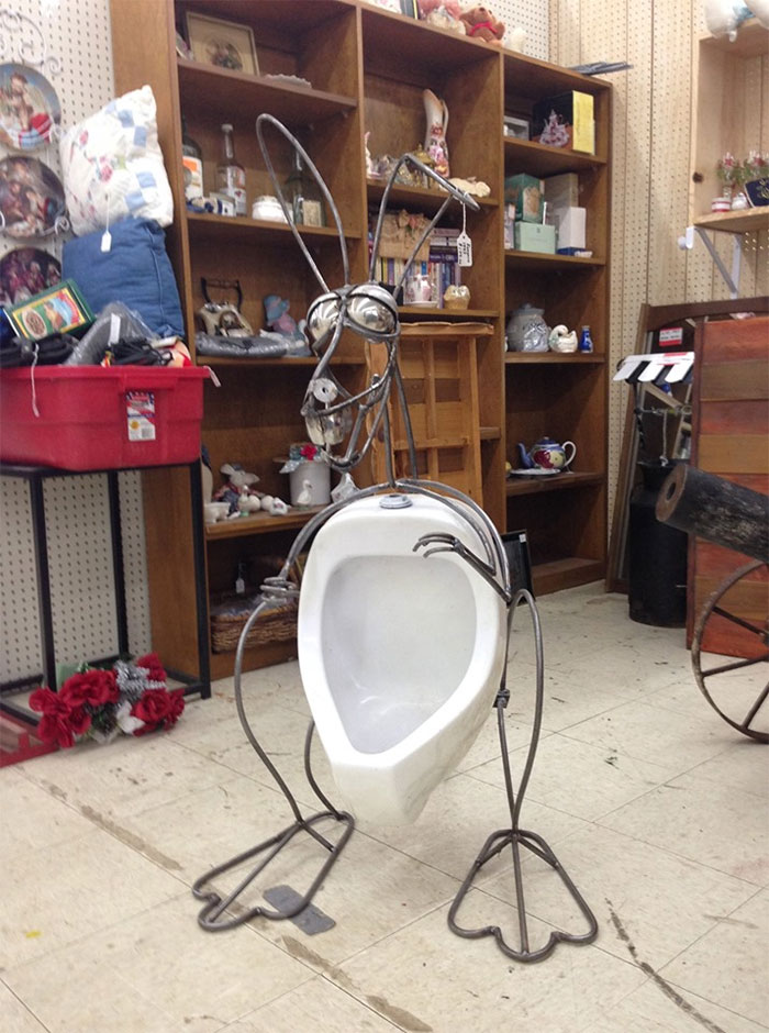 Cute Little Kangaroo ! I Left Him Be !