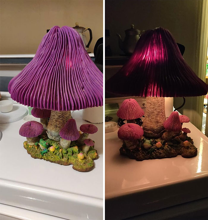 Fyi, Lots Of People Want To Know About The Maker: The Underside Says Adam Apple 2000. And There's A Link Below. That's All We Know About It