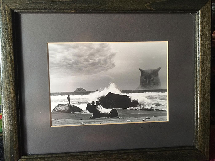 It Definitely Came Home With Me! I Have A Bunch More Weird Stuff Laying Around The House, Just Warming Up