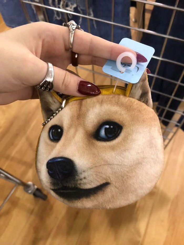 I Think I Lost My Mind When I Found This At A Thrift Store