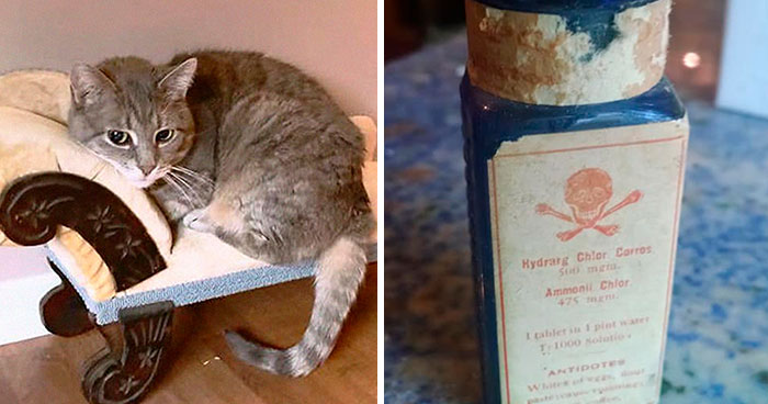 35 Times People Couldn’t Believe Their Luck In Thrift Stores