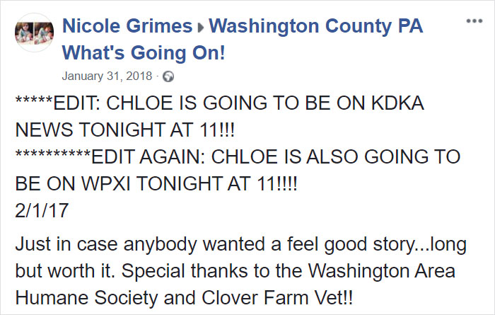 Woman Adopts A Senior Dog Because She Looked Like Her Childhood Puppy, Realizes It's The Same Dog Woman Adopts A Senior Dog Because She Looked Like Her Childhood Puppy, Realizes It's The Same Dog