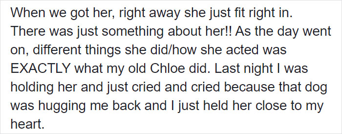 Woman Adopts A Senior Dog Because She Looked Like Her Childhood Puppy, Realizes It's The Same Dog Woman Adopts A Senior Dog Because She Looked Like Her Childhood Puppy, Realizes It's The Same Dog