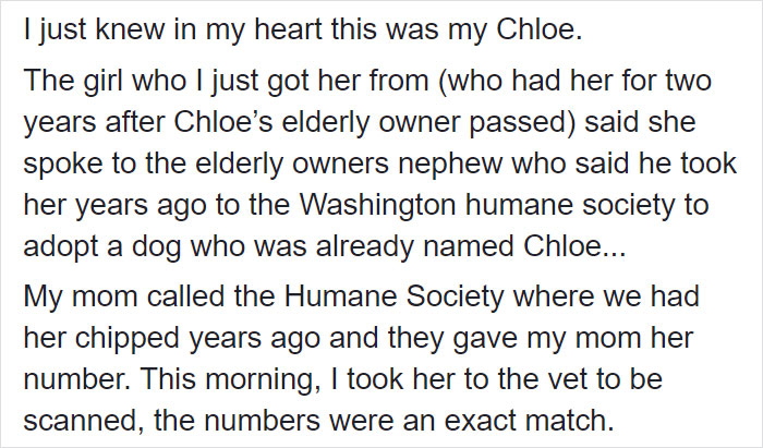 Woman Adopts A Senior Dog Because She Looked Like Her Childhood Puppy, Realizes It's The Same Dog Woman Adopts A Senior Dog Because She Looked Like Her Childhood Puppy, Realizes It's The Same Dog