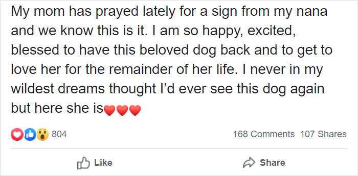 Woman Adopts A Senior Dog Because She Looked Like Her Childhood Puppy, Realizes It's The Same Dog Woman Adopts A Senior Dog Because She Looked Like Her Childhood Puppy, Realizes It's The Same Dog