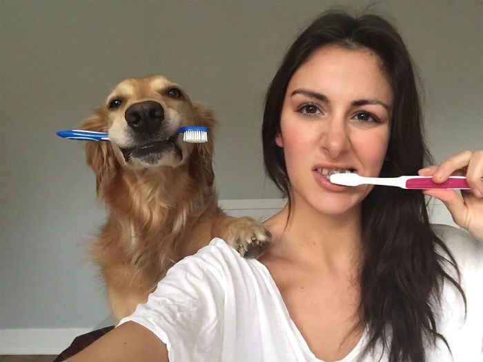 Pet-Dog-Funny-Photography-Soulmates-Hugo-Huxley-Ursula-Aitchinson