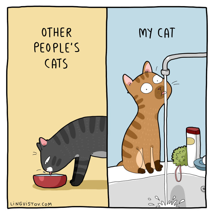 Lingvistov Cat Comics