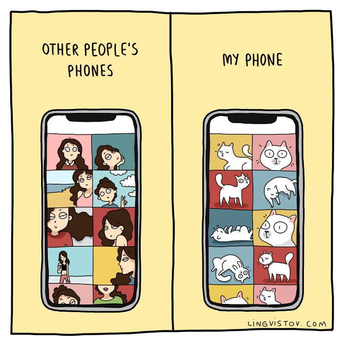 Lingvistov Cat Comics