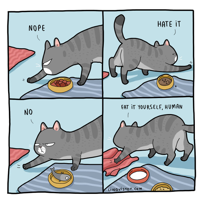 Lingvistov Cat Comics