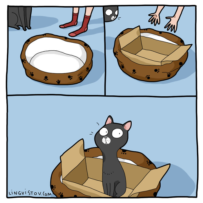 Lingvistov Cat Comics