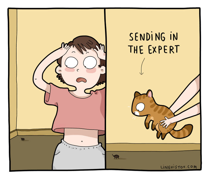 Lingvistov Cat Comics