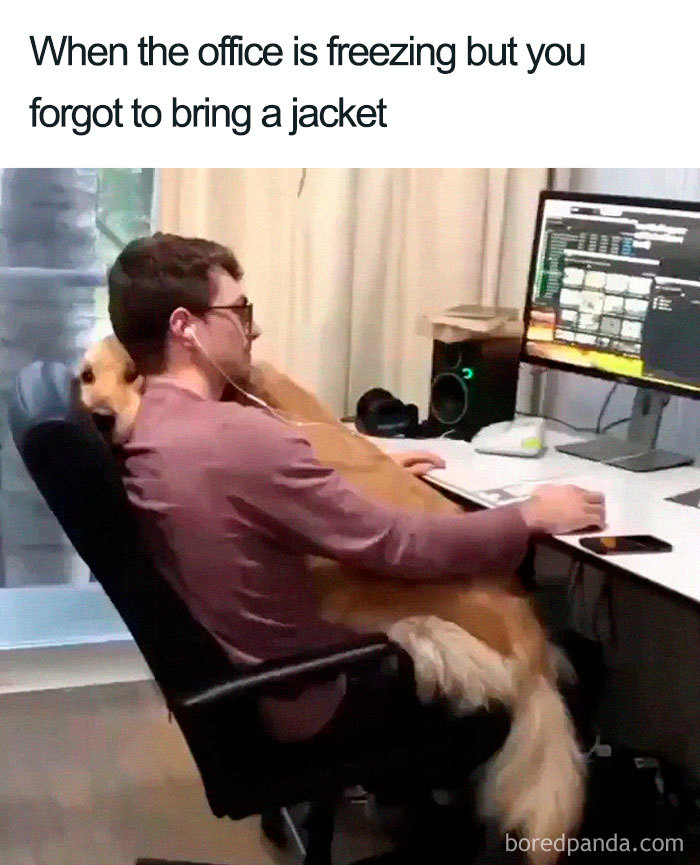 Office worker with headphones hugging a dog for warmth, illustrating memes about a freezing office environment.