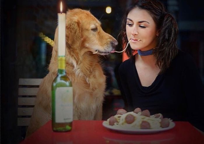 Pet-Dog-Funny-Photography-Soulmates-Hugo-Huxley-Ursula-Aitchinson