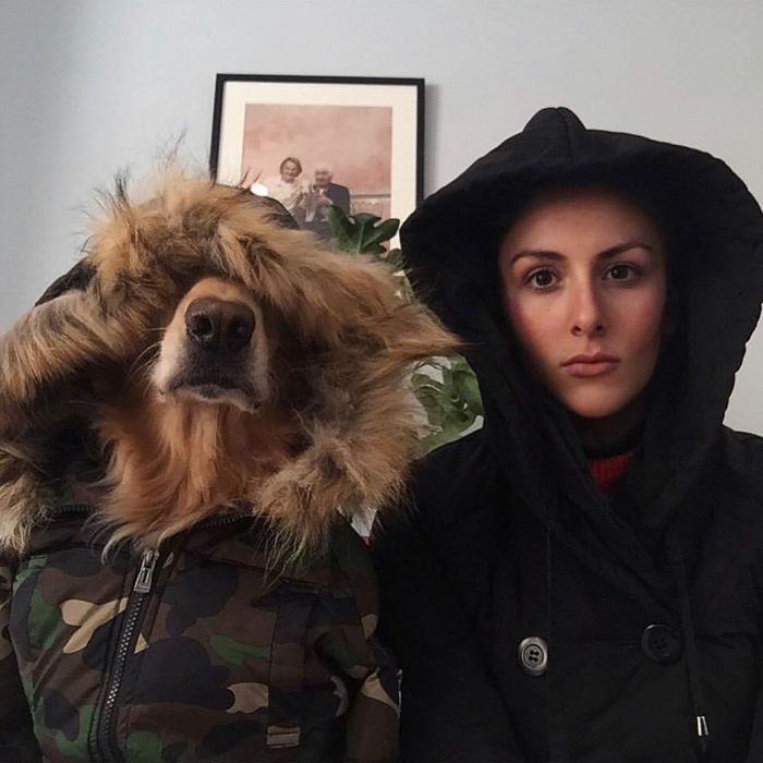 Pet-Dog-Funny-Photography-Soulmates-Hugo-Huxley-Ursula-Aitchinson