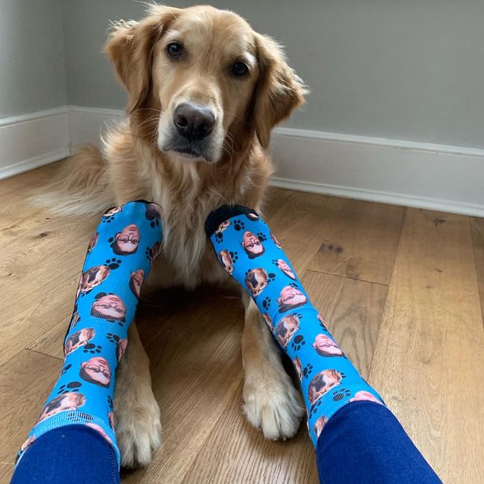 Pet-Dog-Funny-Photography-Soulmates-Hugo-Huxley-Ursula-Aitchinson