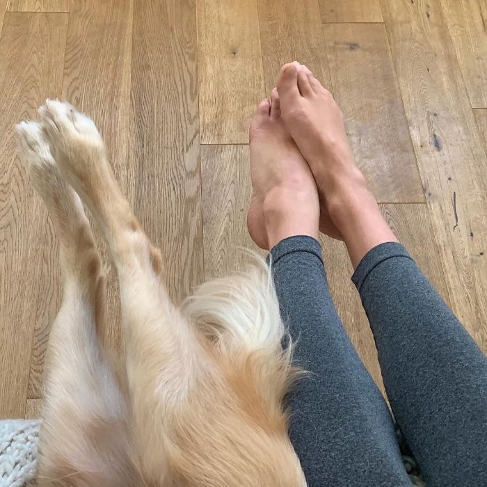 Pet-Dog-Funny-Photography-Soulmates-Hugo-Huxley-Ursula-Aitchinson