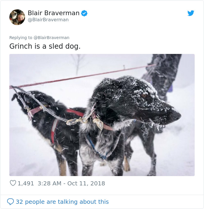 Woman Documents How Her Lovely But 'Dumb As A Box Of Rocks' Sled Dog Took Her Home And It's Hilarious Woman Documents How Her Lovely But 'Dumb As A Box Of Rocks' Sled Dog Took Her Home And It's Hilarious