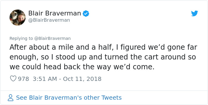 Woman Documents How Her Lovely But 'Dumb As A Box Of Rocks' Sled Dog Took Her Home And It's Hilarious Woman Documents How Her Lovely But 'Dumb As A Box Of Rocks' Sled Dog Took Her Home And It's Hilarious