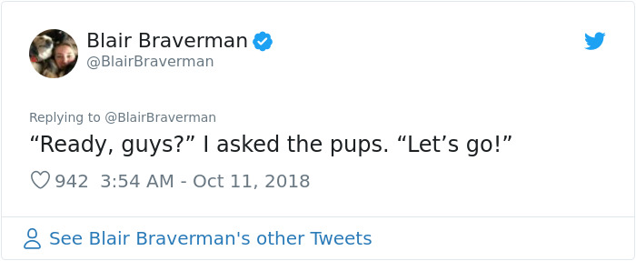 Woman Documents How Her Lovely But 'Dumb As A Box Of Rocks' Sled Dog Took Her Home And It's Hilarious Woman Documents How Her Lovely But 'Dumb As A Box Of Rocks' Sled Dog Took Her Home And It's Hilarious