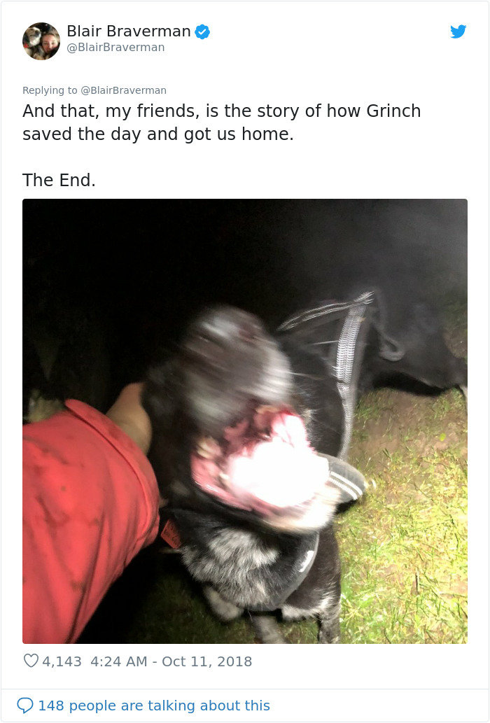 Woman Documents How Her Lovely But 'Dumb As A Box Of Rocks' Sled Dog Took Her Home And It's Hilarious Woman Documents How Her Lovely But 'Dumb As A Box Of Rocks' Sled Dog Took Her Home And It's Hilarious