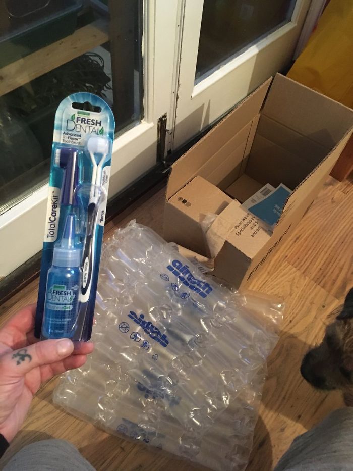 Did You Honestly Send Me Two Dog Toothbrushes And Paste In This Huge Box, Surrounded With Plastic Bubble Wrap?