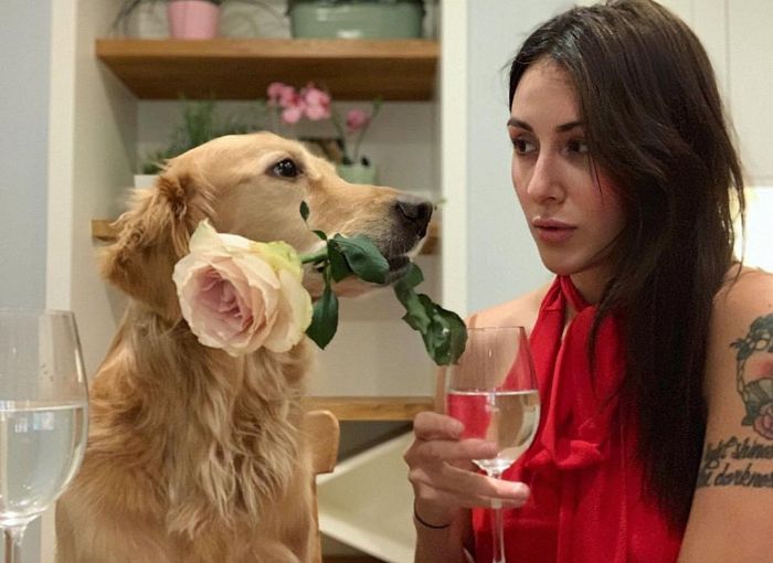 Pet-Dog-Funny-Photography-Soulmates-Hugo-Huxley-Ursula-Aitchinson