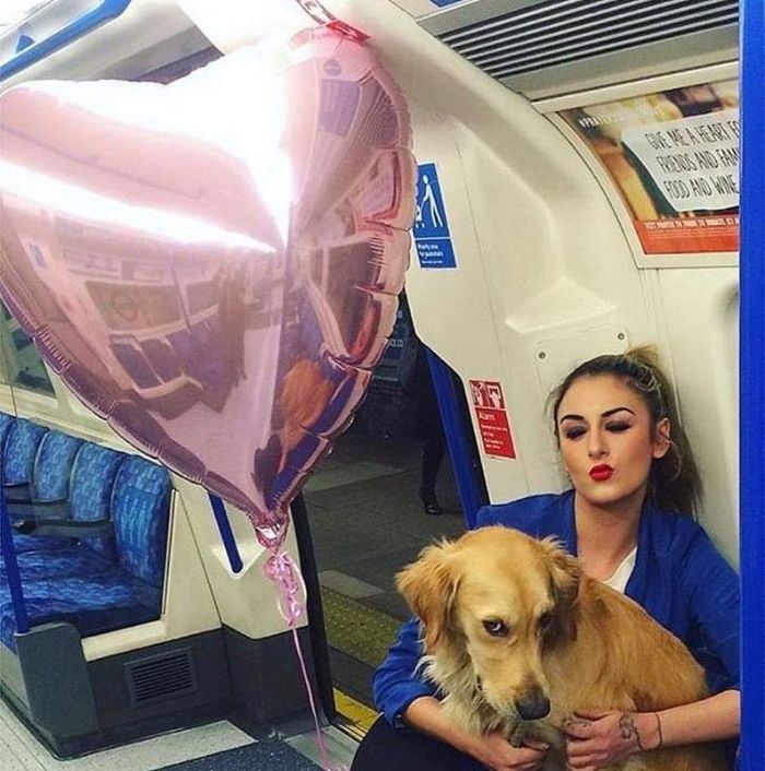 Pet-Dog-Funny-Photography-Soulmates-Hugo-Huxley-Ursula-Aitchinson