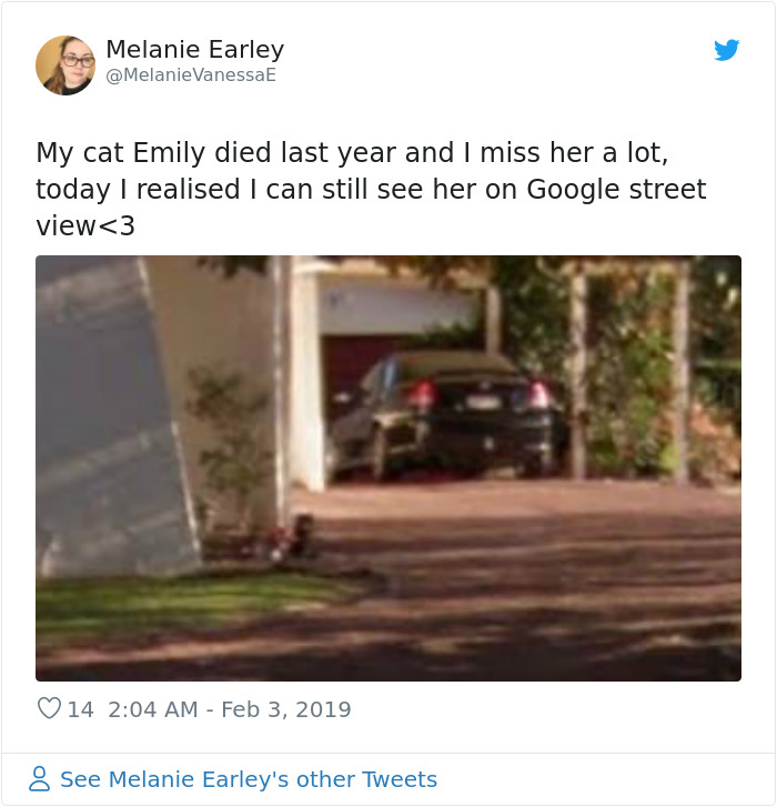 People-Share-Images-Of-Dead-Relatives-And-Pets-Found-On-Streat-View