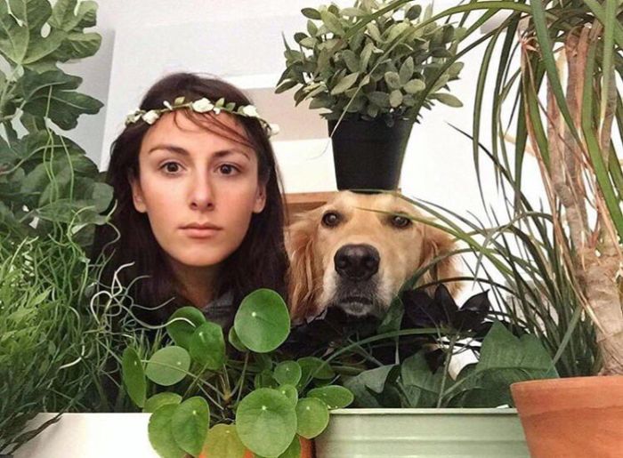 Pet-Dog-Funny-Photography-Soulmates-Hugo-Huxley-Ursula-Aitchinson