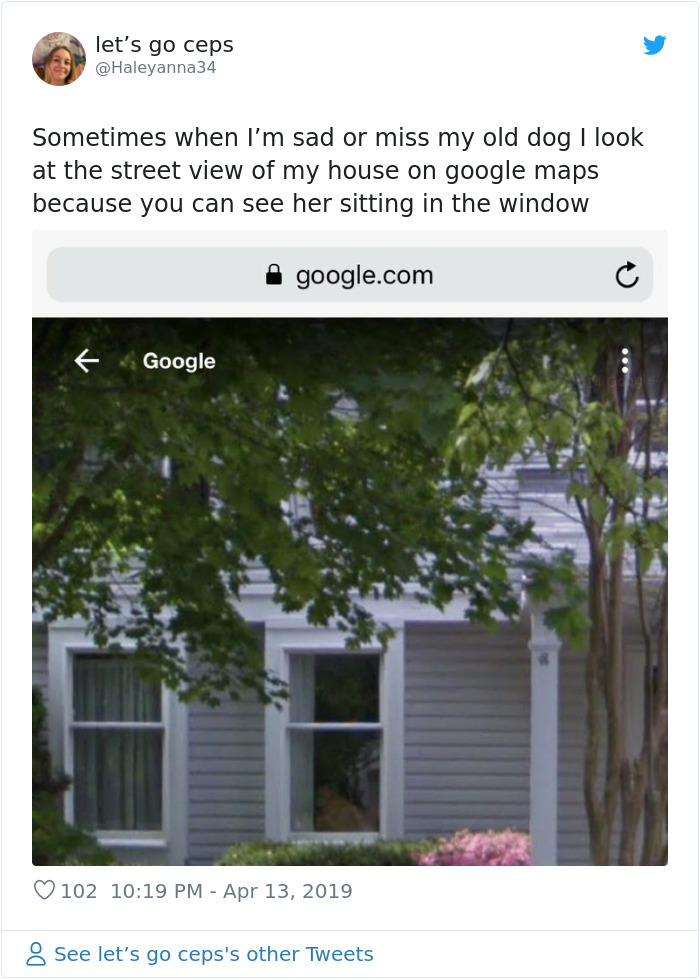 People-Share-Images-Of-Dead-Relatives-And-Pets-Found-On-Streat-View