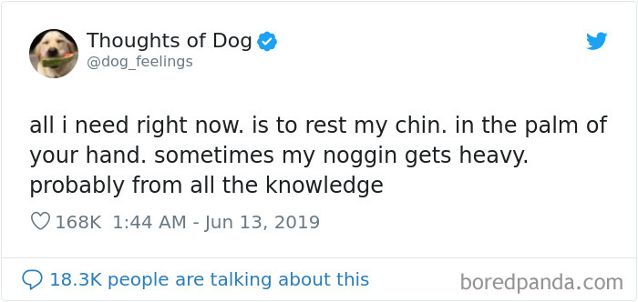 Dog Thoughts