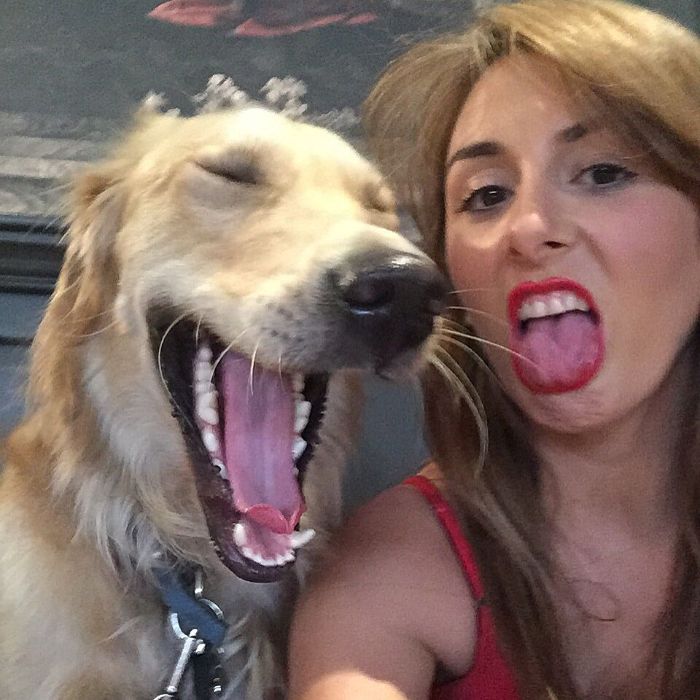 Pet-Dog-Funny-Photography-Soulmates-Hugo-Huxley-Ursula-Aitchinson