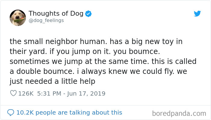 Dog Thoughts