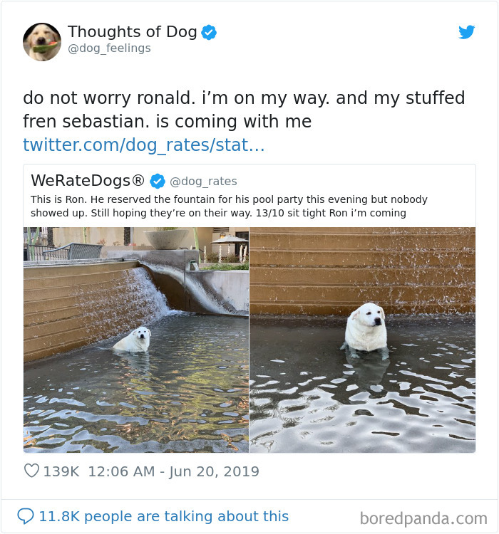 Dog Thoughts