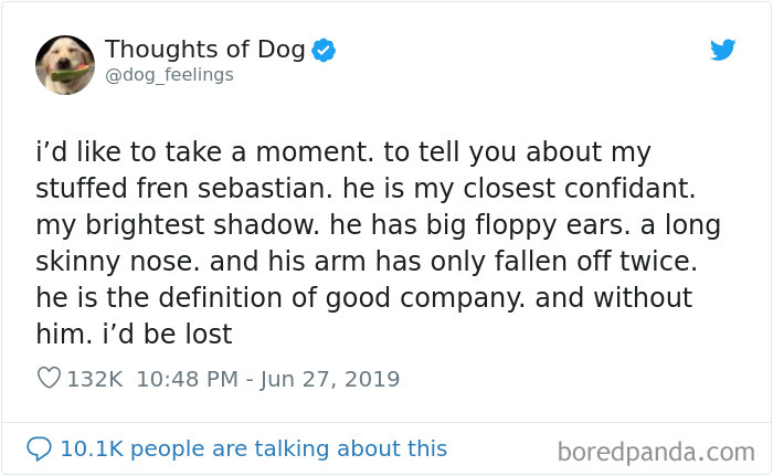 Dog Thoughts