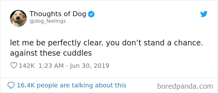 Dog Thoughts