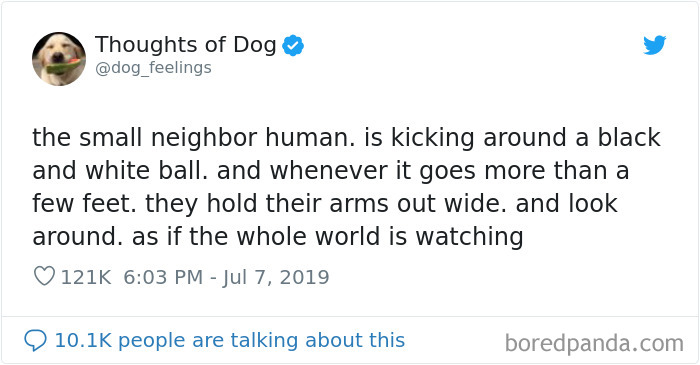 Dog Thoughts