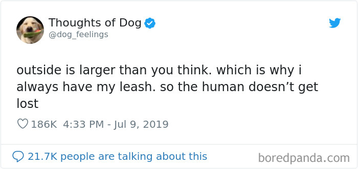 Dog Thoughts