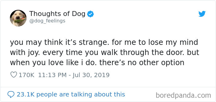 Dog Thoughts