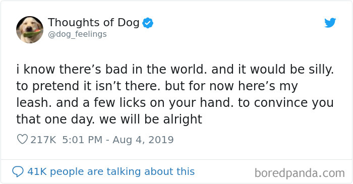 Dog Thoughts