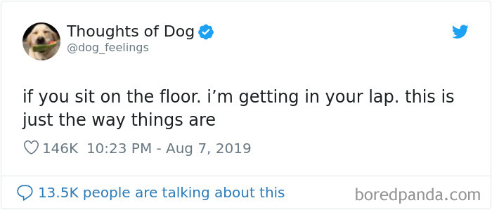 Dog Thoughts