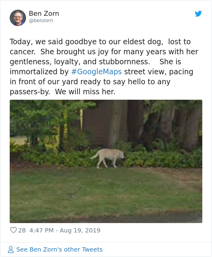 People-Share-Images-Of-Dead-Relatives-And-Pets-Found-On-Streat-View