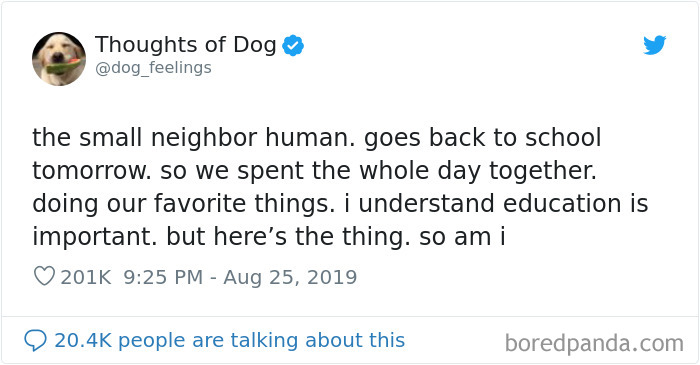 Dog Thoughts